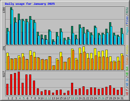 Daily usage for January 2025