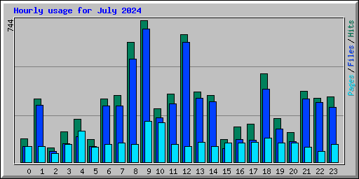 Hourly usage for July 2024