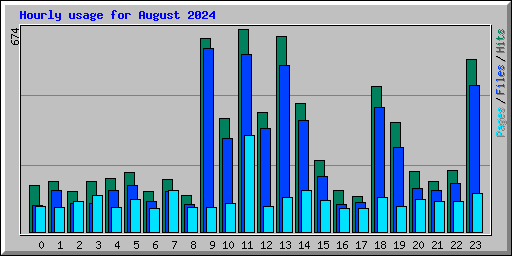 Hourly usage for August 2024