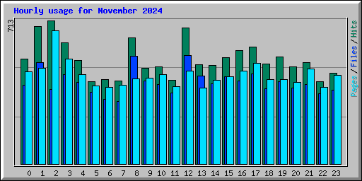 Hourly usage for November 2024