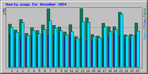 Hourly usage for December 2024