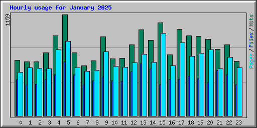 Hourly usage for January 2025