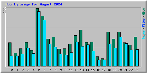 Hourly usage for August 2024